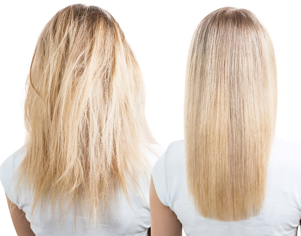 Blonde hair before and after treatment. Isolated and white background.