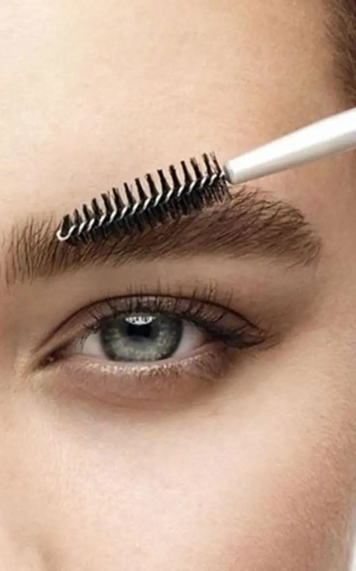 Defined eyebrow brushed into shape
