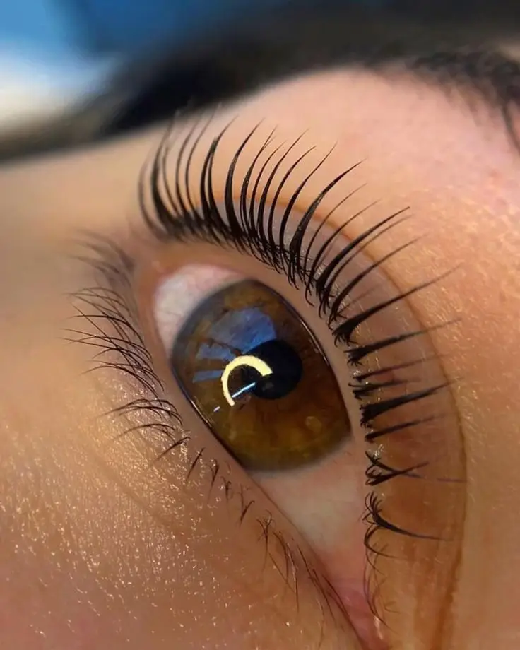 Close-up of dark defined lashes
