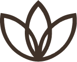 Lotus Hair Salon